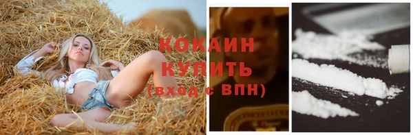 шишки Нефтекумск